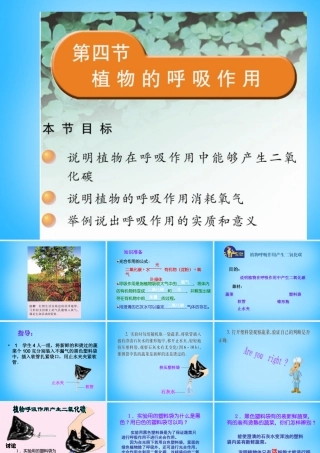中学七年级生物上册 第6章 第4节 植物的呼吸作用课件 苏教版 课件
