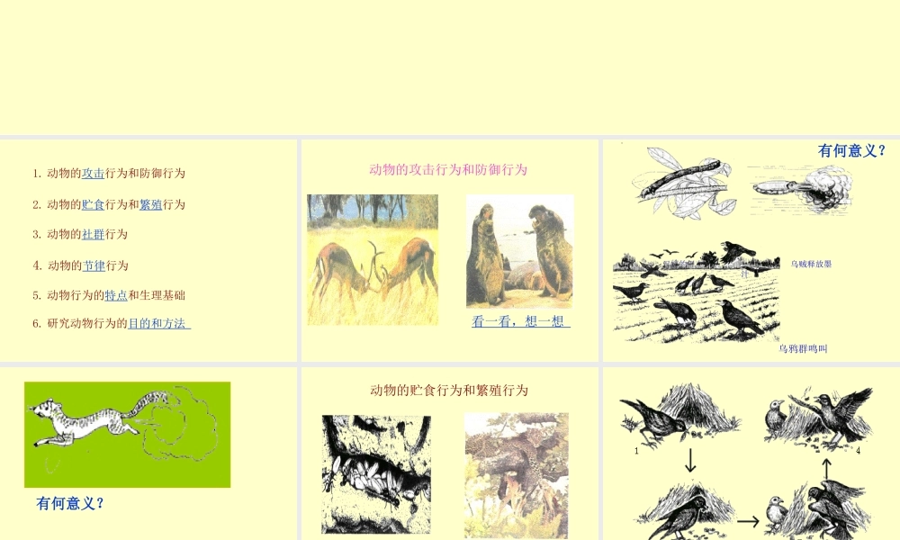 八年级生物 动物的行为课件