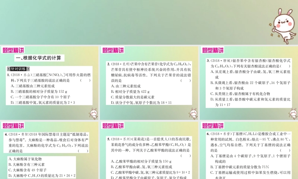 中考化学复习 题型复习(五)1 根据化学式的计算课件