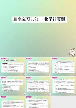 中考化学复习 题型复习(五)1 根据化学式的计算课件