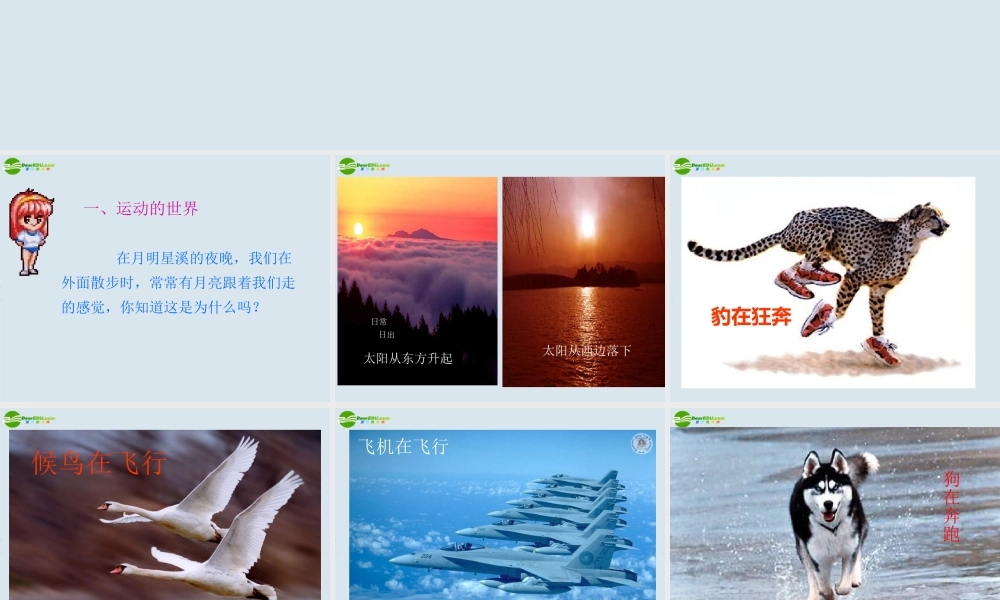 八年级物理 2.1动与静课件2 沪科版 课件