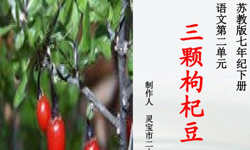 七年级语文上册(三颗枸杞豆)课件 苏教版 课件