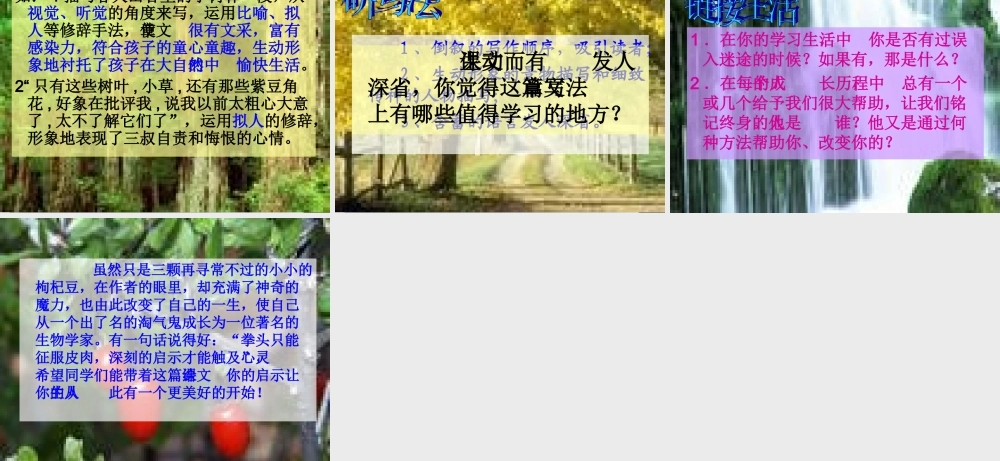 七年级语文上册(三颗枸杞豆)课件 苏教版 课件