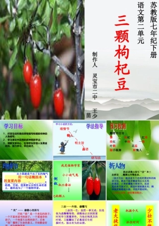 七年级语文上册(三颗枸杞豆)课件 苏教版 课件