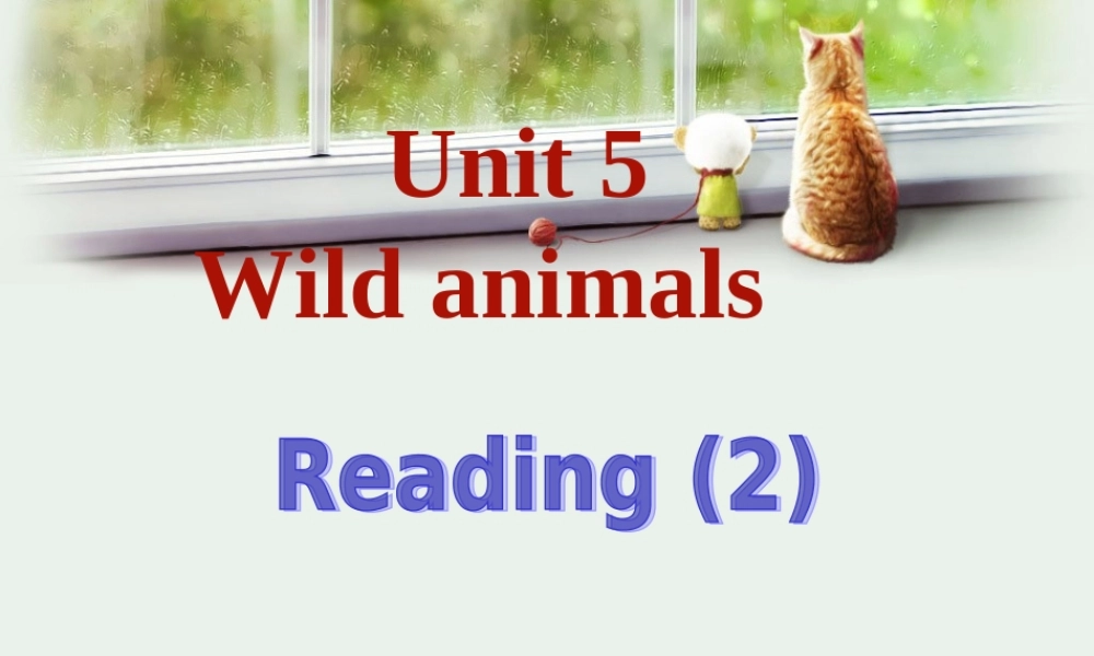 8AUnit5Reading(共85张PPT)