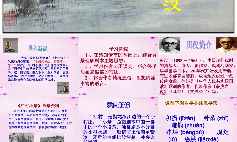 九年级语文下册 2(江村小景)教学课件 (新版)苏教版 课件