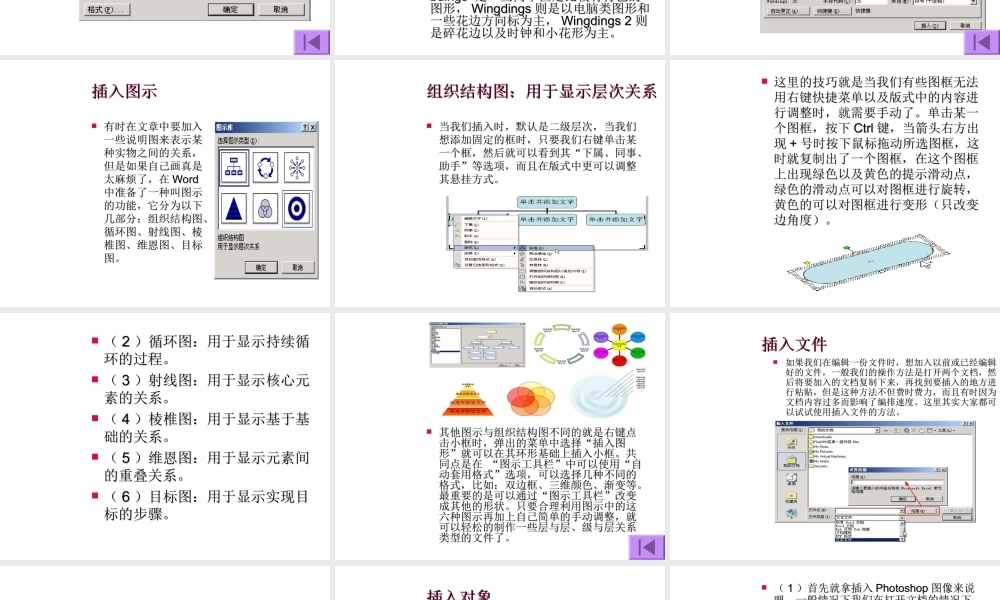 初中信息技术Word插入菜单详解课件