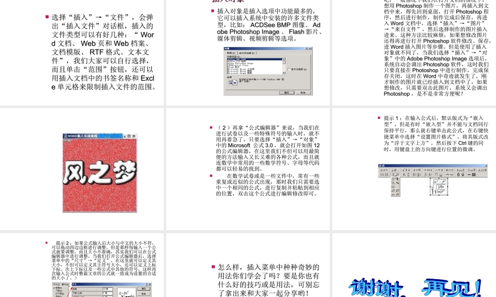 初中信息技术Word插入菜单详解课件