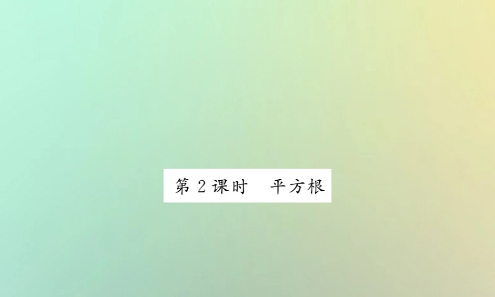 八年级数学上册 第二章 实数 2.2 平方根(2)习题课件 (新版)北师大版 课件