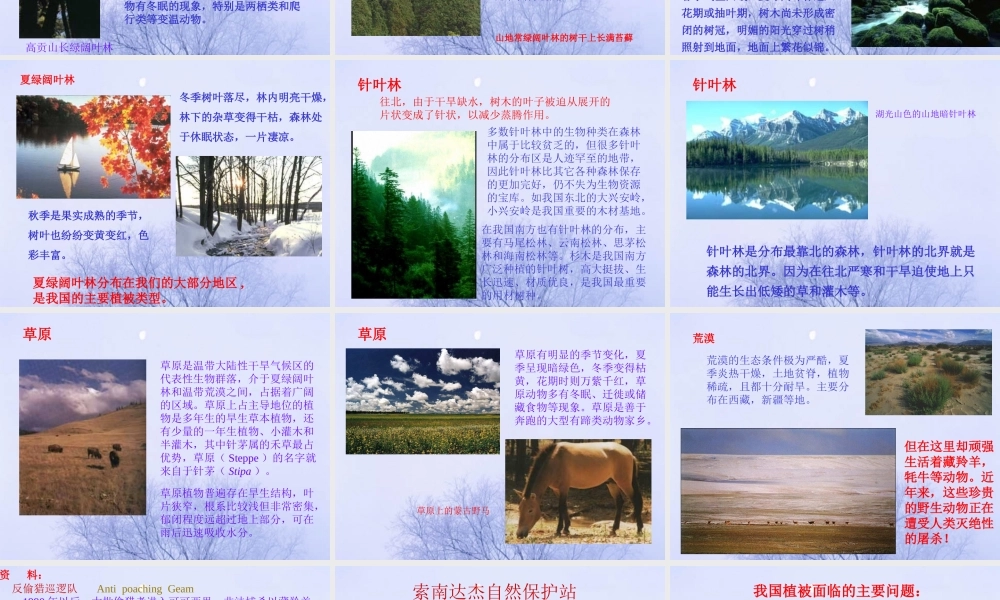 七年级生物第六章：爱护植被，绿化祖国 课件