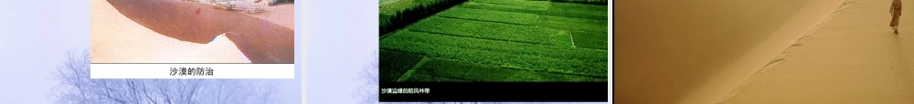 七年级生物第六章：爱护植被，绿化祖国 课件