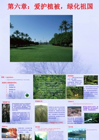 七年级生物第六章：爱护植被，绿化祖国 课件