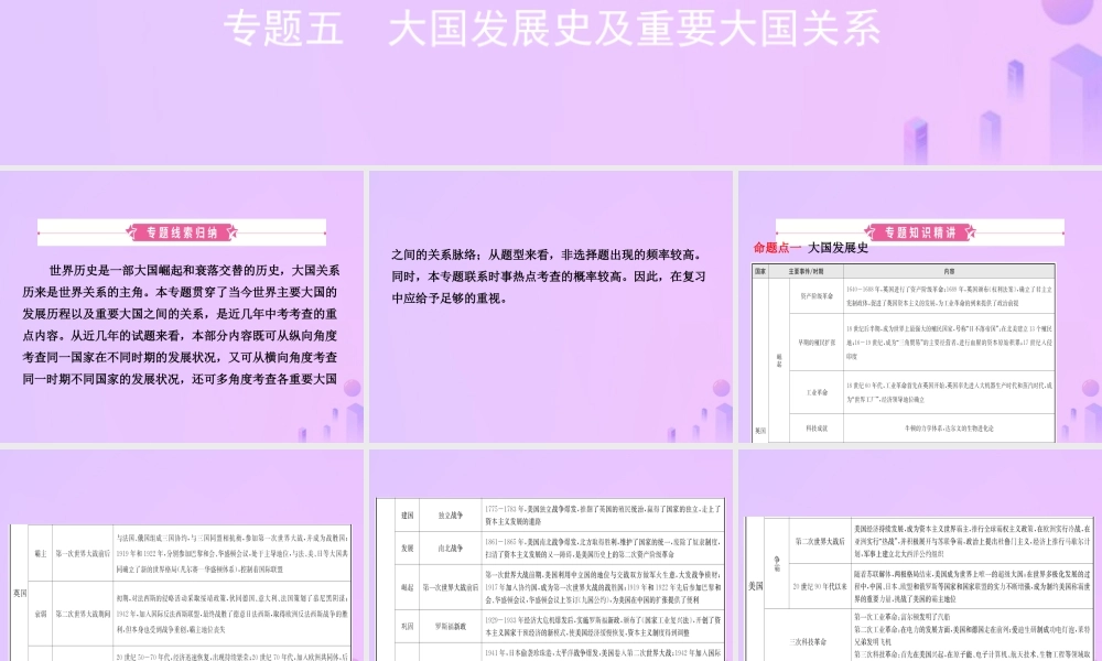 中考历史复习 专题五　大国发展史及重要大国关系课件