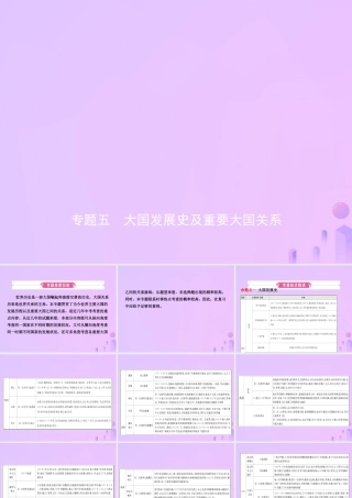 中考历史复习 专题五　大国发展史及重要大国关系课件