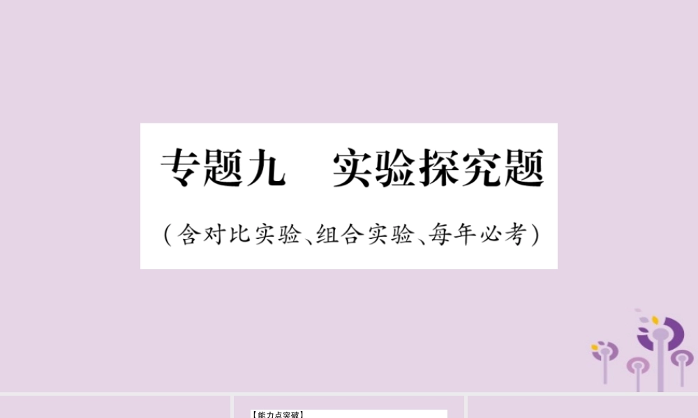 中考化学复习 第二部分 重难题型专题突破 专题九 实验探究题(含对比试验、组合试验)(精讲)课件