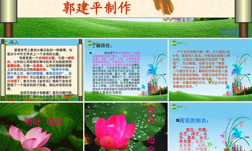 七年级语文上册(荷叶·母亲)优秀实用课件 人教新课标版 课件