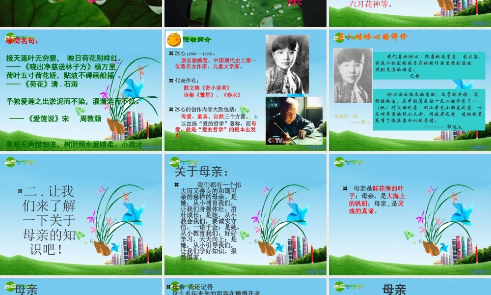 七年级语文上册(荷叶·母亲)优秀实用课件 人教新课标版 课件