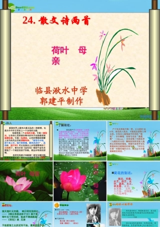 七年级语文上册(荷叶·母亲)优秀实用课件 人教新课标版 课件