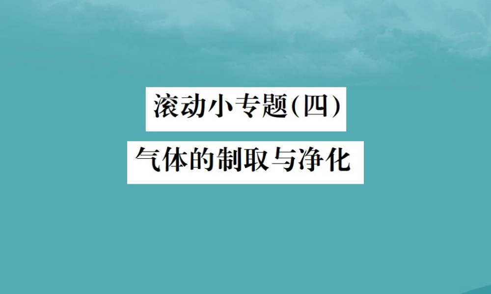 中考化学复习 滚动小专题(四)气体的制取与净化课件 鲁教版 课件