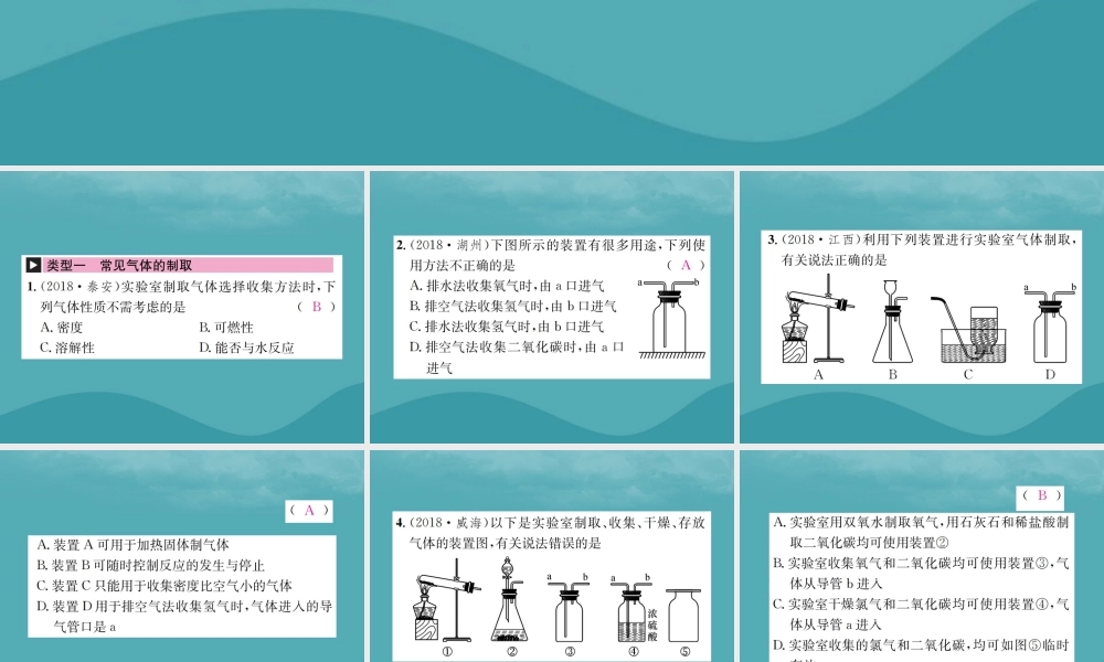 中考化学复习 滚动小专题(四)气体的制取与净化课件 鲁教版 课件