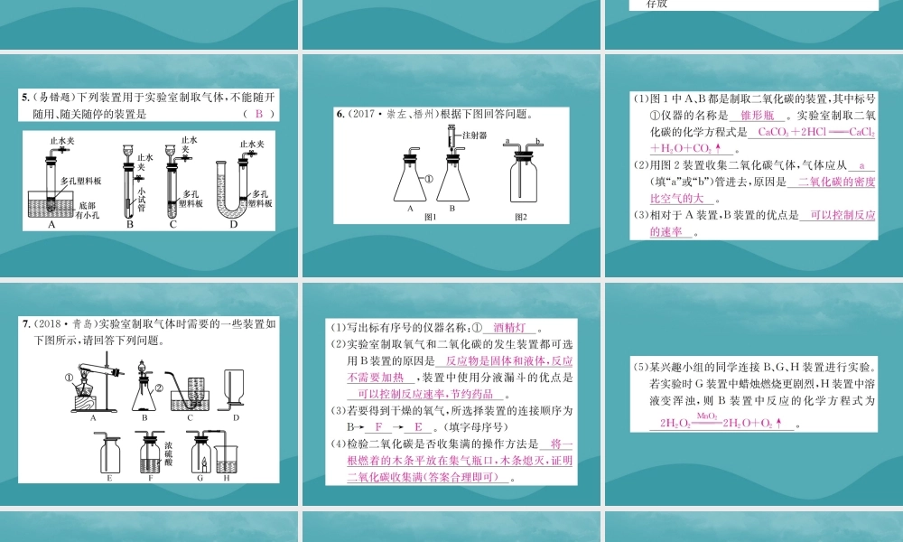 中考化学复习 滚动小专题(四)气体的制取与净化课件 鲁教版 课件