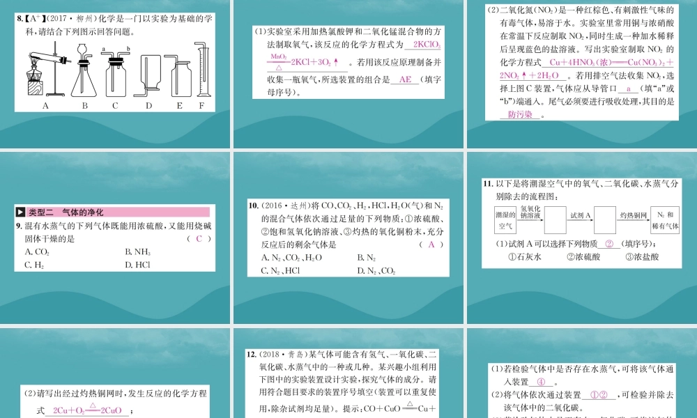 中考化学复习 滚动小专题(四)气体的制取与净化课件 鲁教版 课件