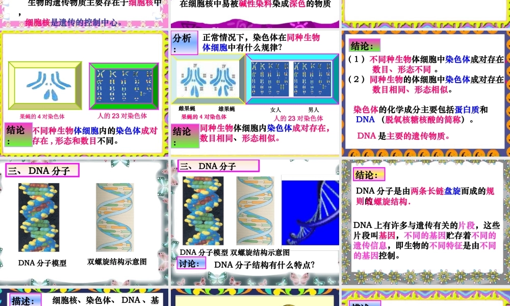 八年级生物第一节遗传的物质基础课件人教版 课件