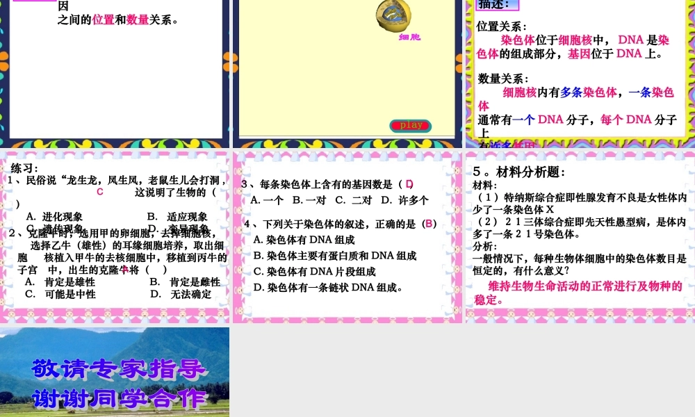 八年级生物第一节遗传的物质基础课件人教版 课件