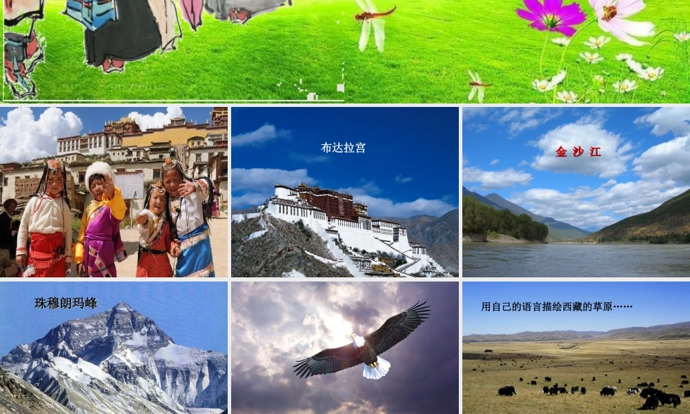 《多快乐呀多幸福》课件2