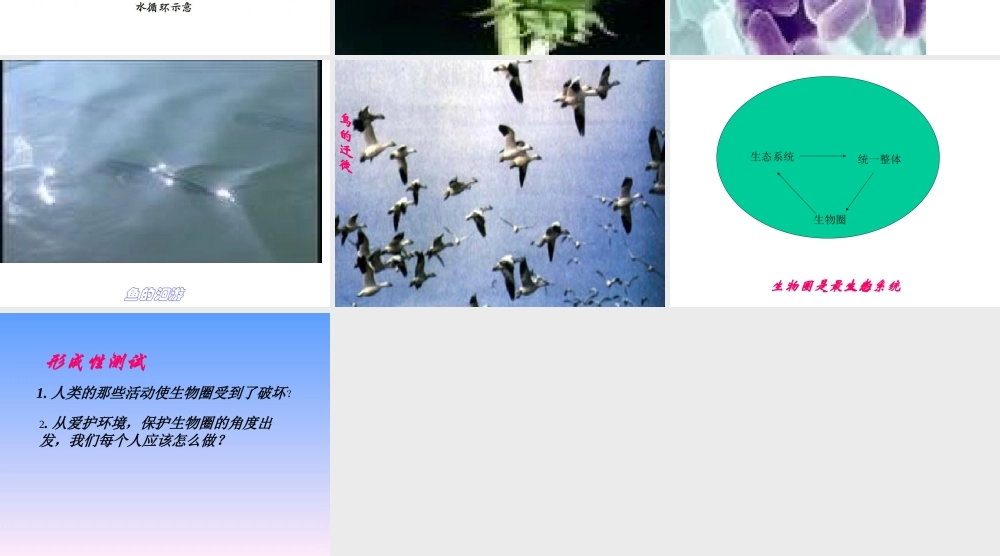 七年级生物生物圈是最大的生态系统课件 鲁教版 课件