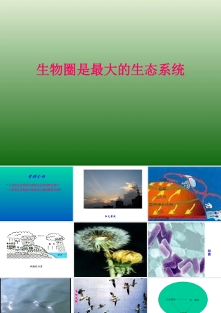 七年级生物生物圈是最大的生态系统课件 鲁教版 课件