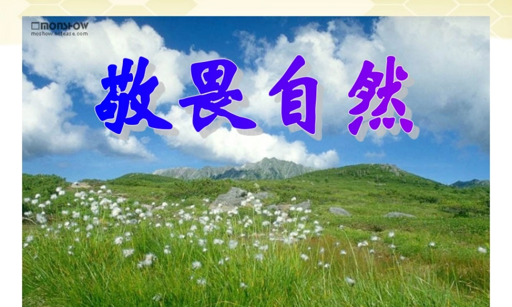 八年级语文(敬畏自然)课件 人教新课标版 课件
