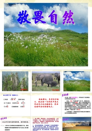 八年级语文(敬畏自然)课件 人教新课标版 课件