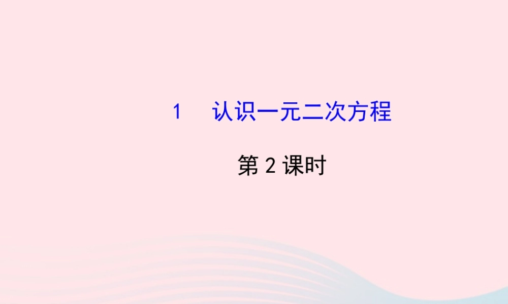 九年级数学上册 第二章 一元二次方程 1认识一元二次方程(第2课时)习题课件 (新版)北师大版 课件