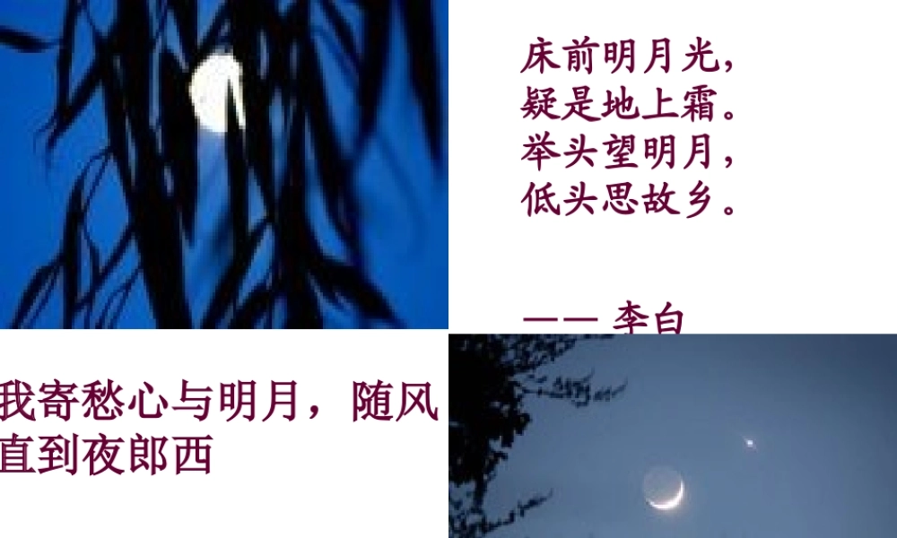 八年级语文上册(记承天寺夜游)课件 苏教版 课件