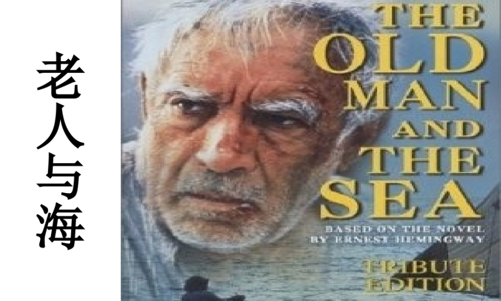 29老人与海