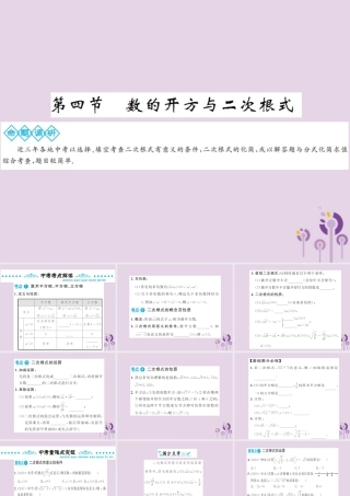 中考数学总复习 第一章 第四节 数的开方与二次根式课件