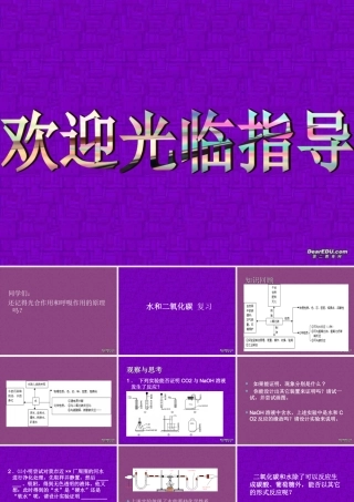 初三化学水和二氧化碳复习课件 上教版 课件