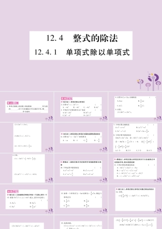 八年级数学上册 第12章 整式的乘除 12.4 整式的除法 12.4.1 单项式除以单项式作业课件 (新版)华东师大版 课件