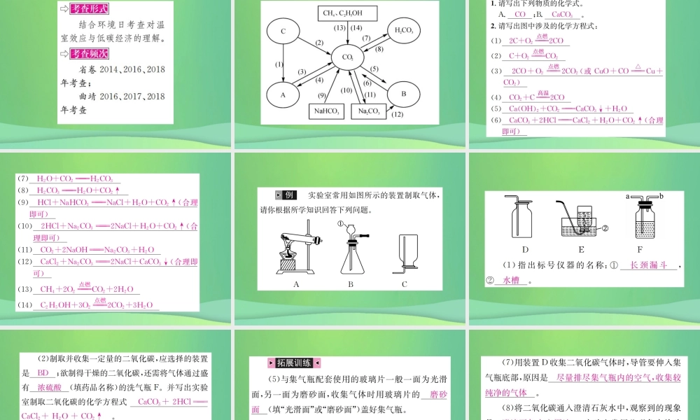 中考化学总复习 教材考点梳理 第六单元 碳和碳的氧化物课件