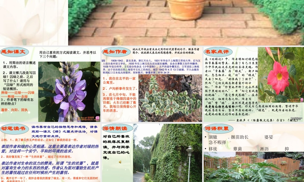 九年级语文囚绿记 苏教版 课件