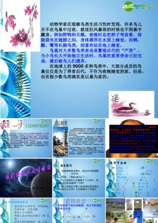 八年级语文下册(我们的知识是有限的)课件 苏教版 课件