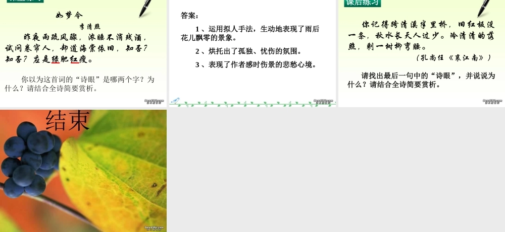 各地区通用高三语文资料之塔尖上的明珠 诗眼 新课标 人教版 课件