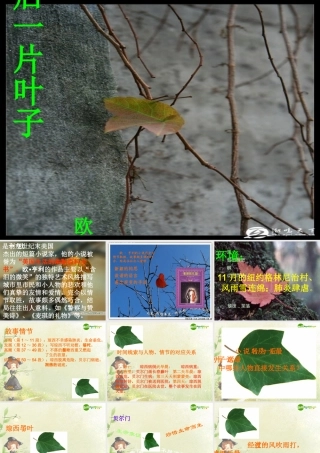 七年级语文上册 第五单元第10课 (最后一片叶子)课件 北师大版 课件