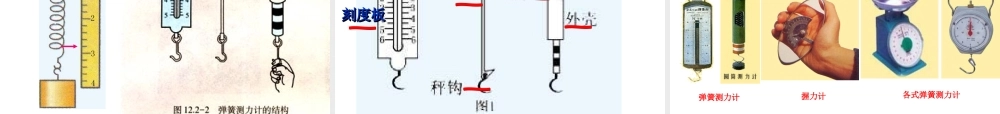 二、弹力力的测量-(2)