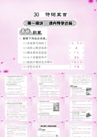 九年级语文下册 30 诗词五首课件 语文版 课件
