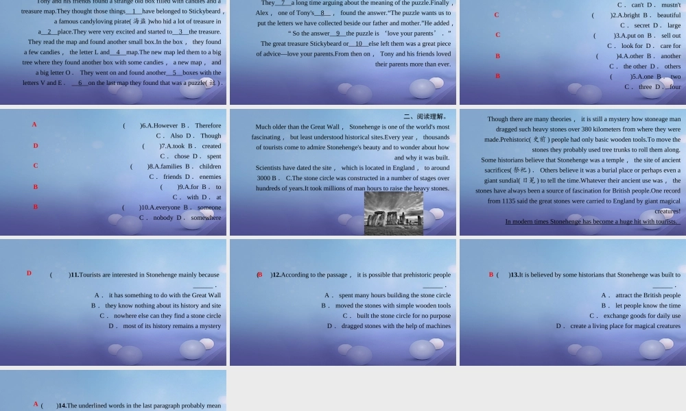 九年级英语全册 Unit 8 It must belong to Carla Section B话题阅读习题课件 (新版)人教新目标版 课件