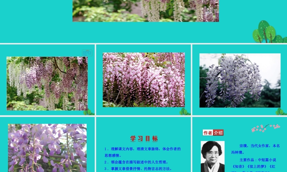 七年级语文下册 第五单元 17 紫藤萝瀑布课件 新人教版 课件