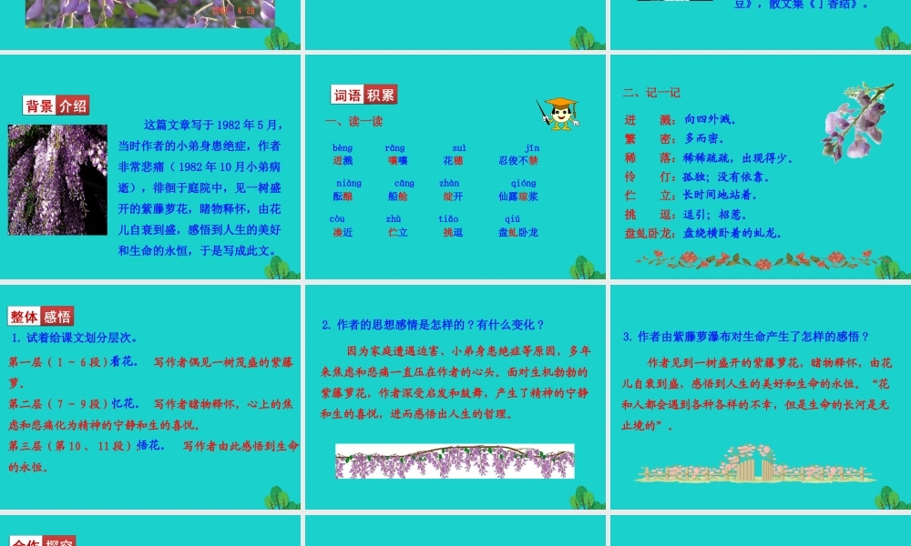 七年级语文下册 第五单元 17 紫藤萝瀑布课件 新人教版 课件