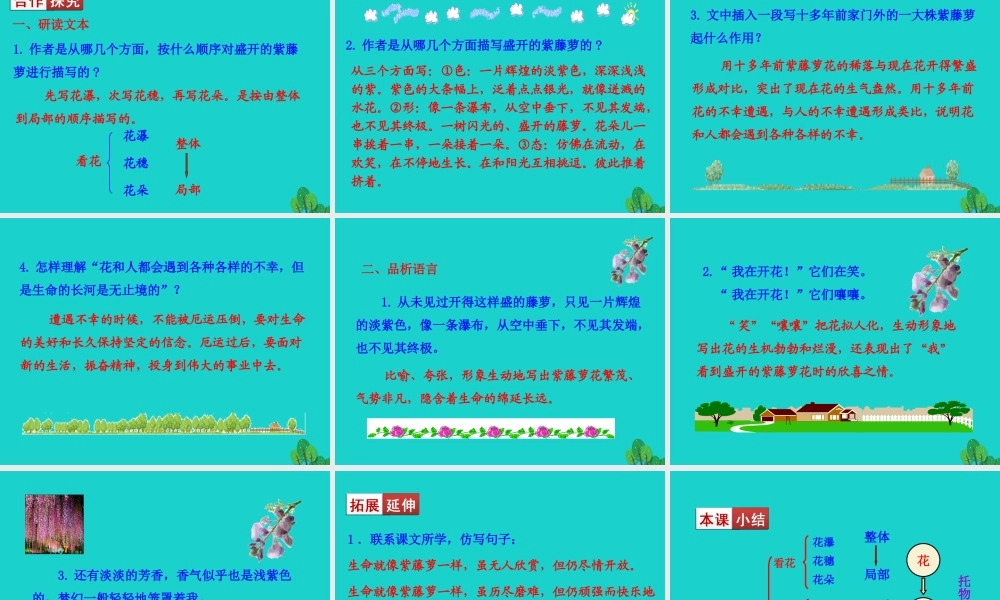 七年级语文下册 第五单元 17 紫藤萝瀑布课件 新人教版 课件